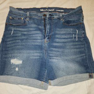 Wallflower Denim distressed shorts. Size 15